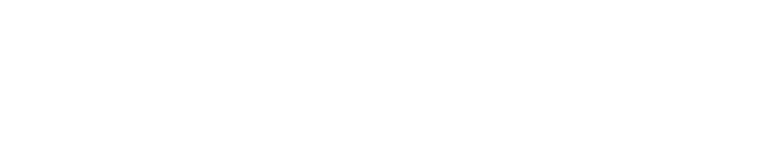 CHUBB
